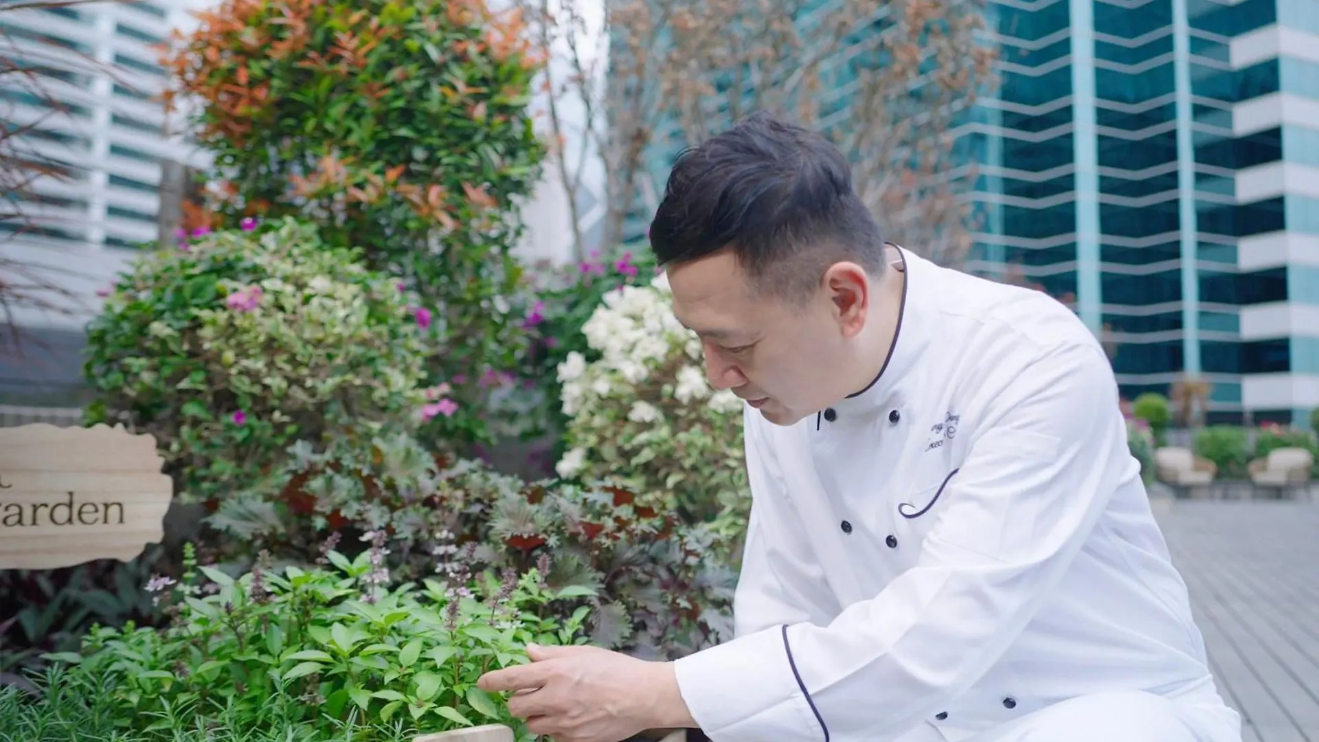 Jw Marriott Hotel Hongkong